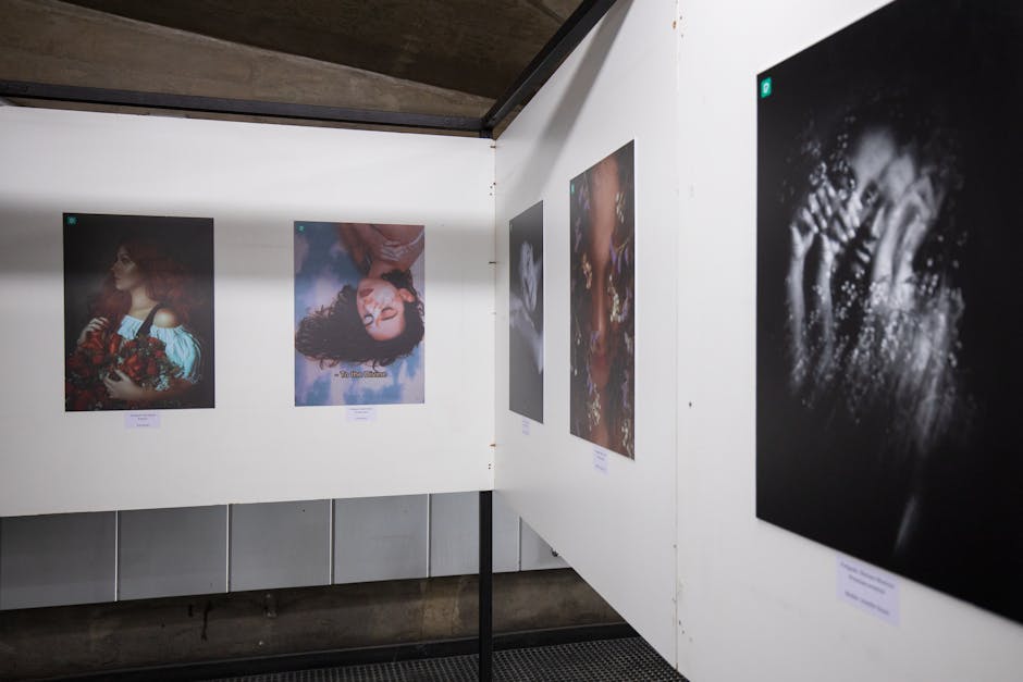 Explore captivating photographs displayed at a contemporary art gallery exhibit.